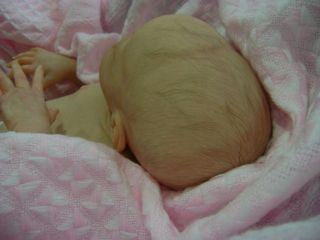 So Real Reborn Baby Art Doll Everleigh Sculpt by Laura Lee Eagles 236 500