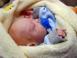 Adorable Newborn Reborn Baby Doll Boy Grace Sculpt by Tina Kewy 230 500