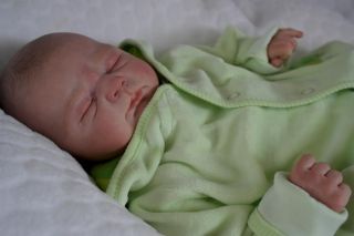 Hunnybear Nursery Reborn Doll Fake Baby Boy Brand New Out Ivy by Eliza Marx