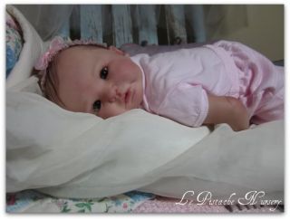 LPN Beautiful Reborn Baby Girl Doll Lidy by D Jacobsen