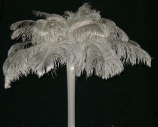 Lot 12 Deluxe Bleach White Ostrich Feathers Centerpiece 24" Tall 400 Feathers
