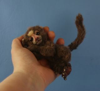OOAK Lifelike Baby Pygmy Marmoset Monkey by Bear Artist Melisa of Melisa's Bears