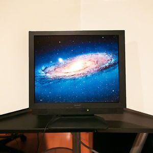 Sharp ll T17A3 B 17" LCD Flat Screen Computer Monitor with Built in Speakers 074000047334