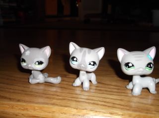 Littlest Pet Shop LPS Lot of 3 Shorthair Cats 483 Cozy Care Center 467 468