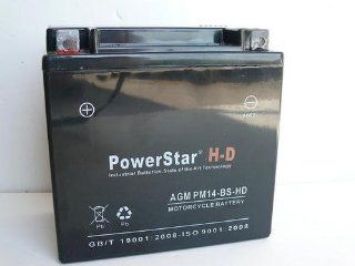 PowerStar H D Battery for 2007 Harley Davidson V Rod Night Rod   3 YEAR WARRANTY Automotive