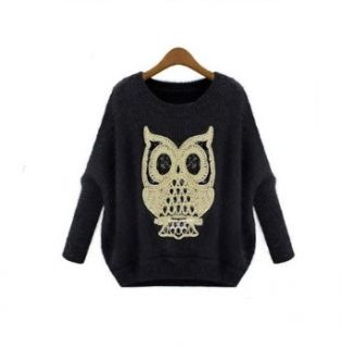 Aokin Women Owl Printed Dolman Sleeve Knit Blouse Top Sweater (Beige) Clothing