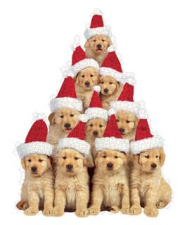 Paper House Golden Retriever Puppies Holiday Puzzle   Jigsaw Puzzles