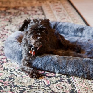 Midwest Quiet Time Dog Bed   Dog Beds
