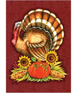 Toland 28 x 40 in. Big Turkey House Flag   Flags