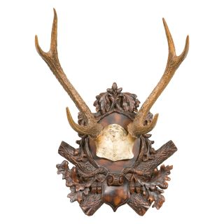 Oklahoma Casting Medium Antlers On Mount Wall Art   Wall Sculptures and Panels