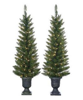 4 ft. Cedar Pine Pre Lit Potted Christmas Tree   Set of 2   Christmas Trees
