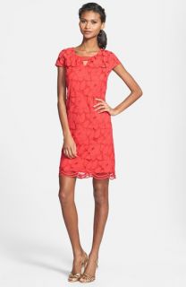 Donna Ricco Blouson Sleeve Lace Shift Dress (Regular & Petite)