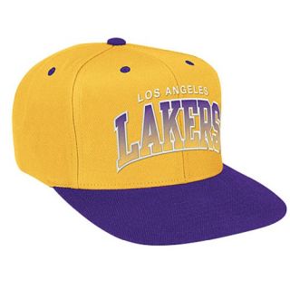 Mitchell & Ness NBA Gradient Logo Snapback   Mens   Basketball   Accessories   Los Angeles Lakers   Multi