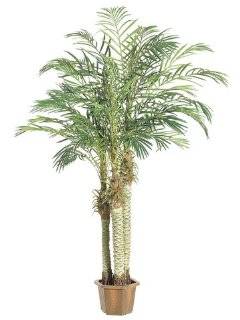 7' Potted Artificial Tropical Robellini Silk Palm Tree   Artificial Palm Trees Indoor
