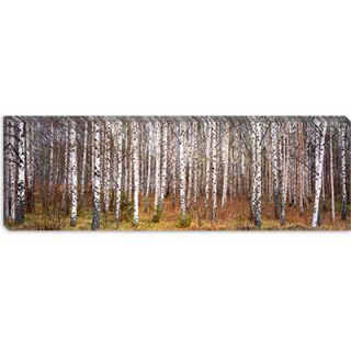 iCanvasArt Silver Birch Trees in a Forest, Narke, Sweden Canvas Wall