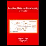 Principles of Modern Molecular Photochemistry