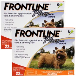 Frontline Plus  Flea & Tick for Dogs 0 22 lbs, 12 Month