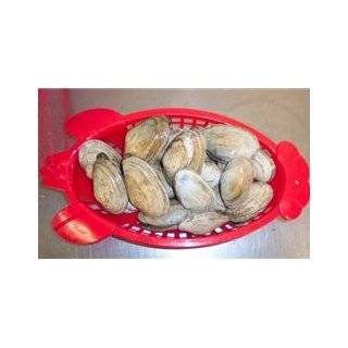 Live Maine Softshell Steamer Clams   4 pounds   ADD ON (only shipped 
