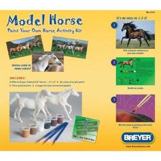  Breyer My Dream Horse Customizing Kit   4100 Everything 