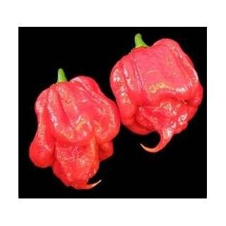   HOT Pepper Seeds 10 Hotter Than Bhut Jolokia Ghost Pepper Seeds